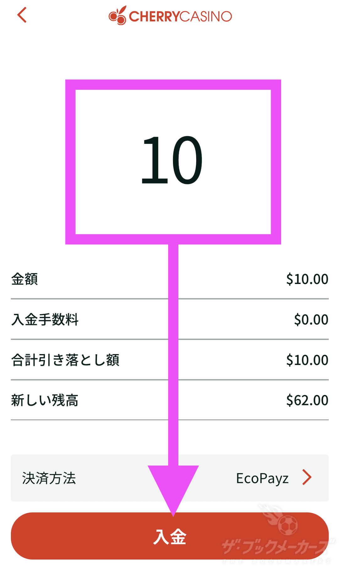 チェリー入金エコペイズ