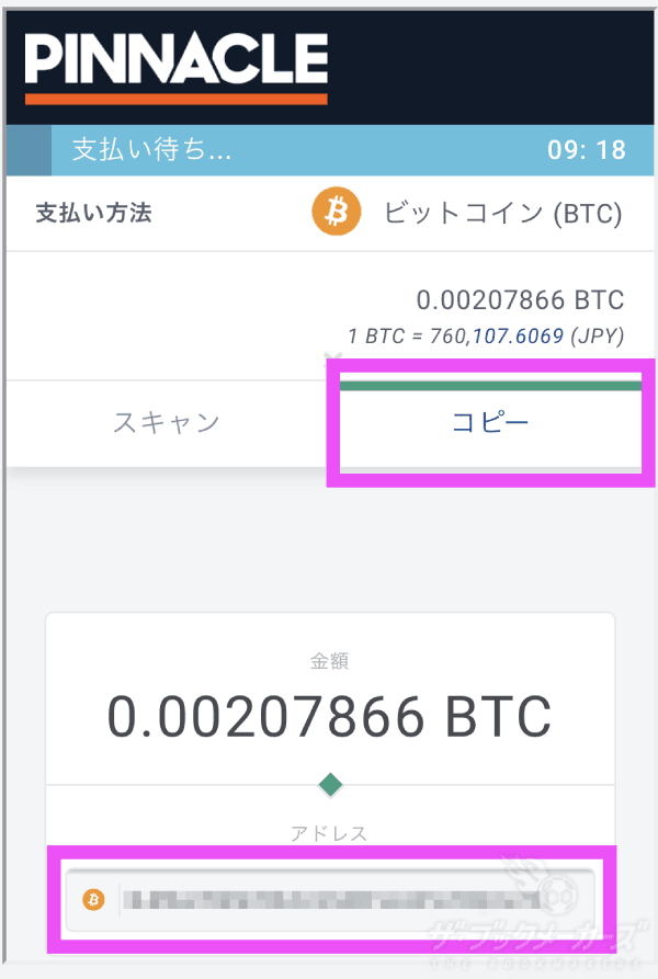 スポーツベットアイオーからピナクルにビットコインを送金