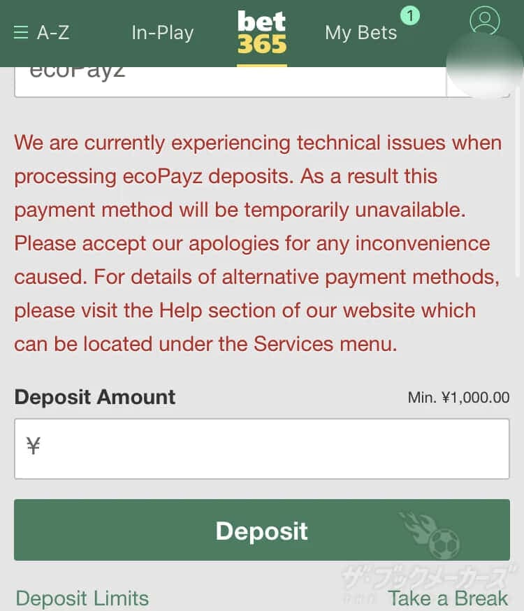 エコペイズのエラー画面でbet365に入金できない