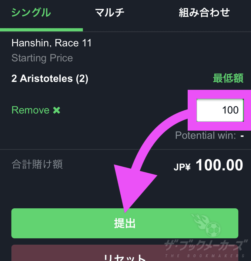 アイオー競馬買い方