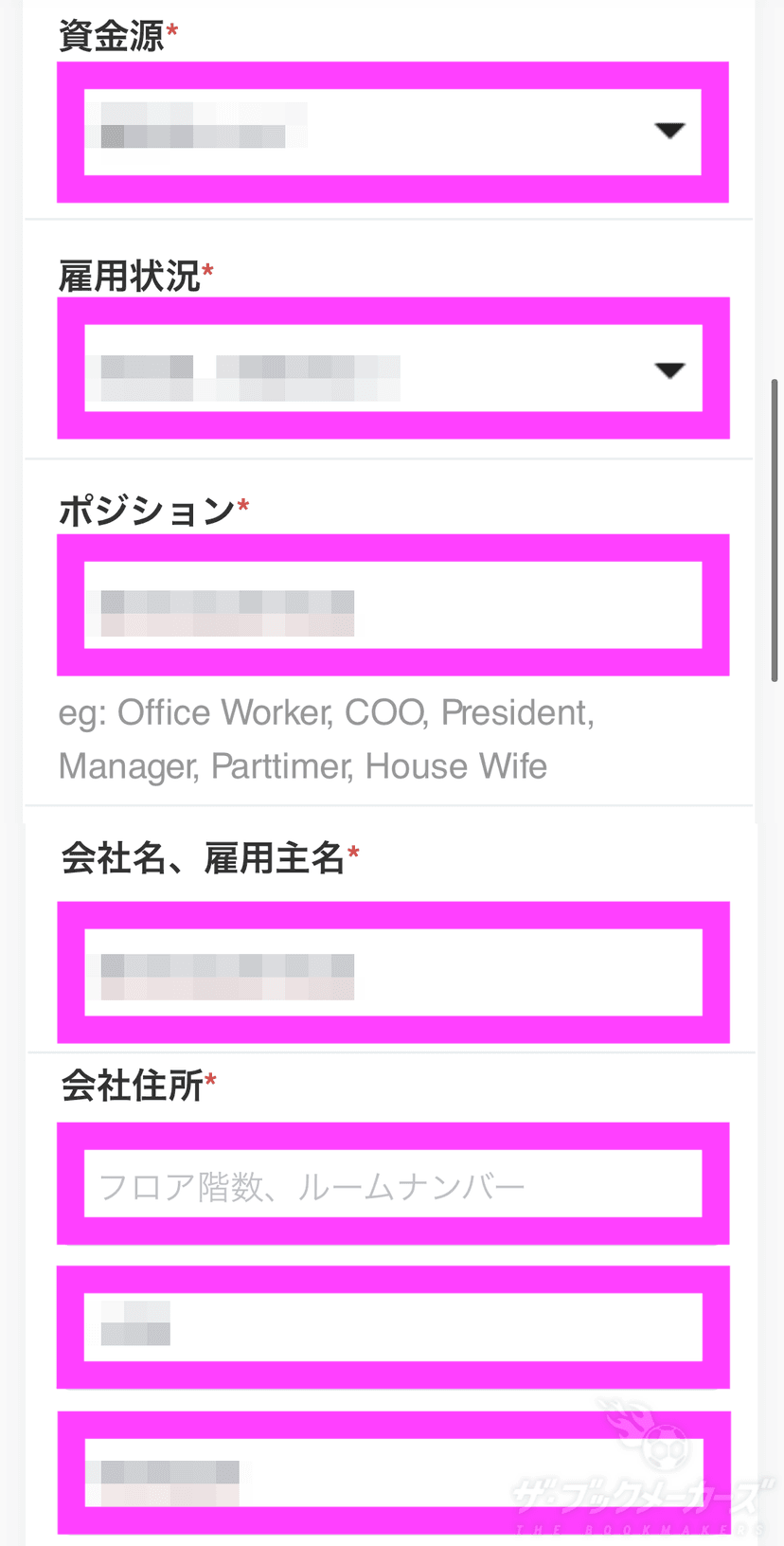 資金源と勤め先の情報を入力