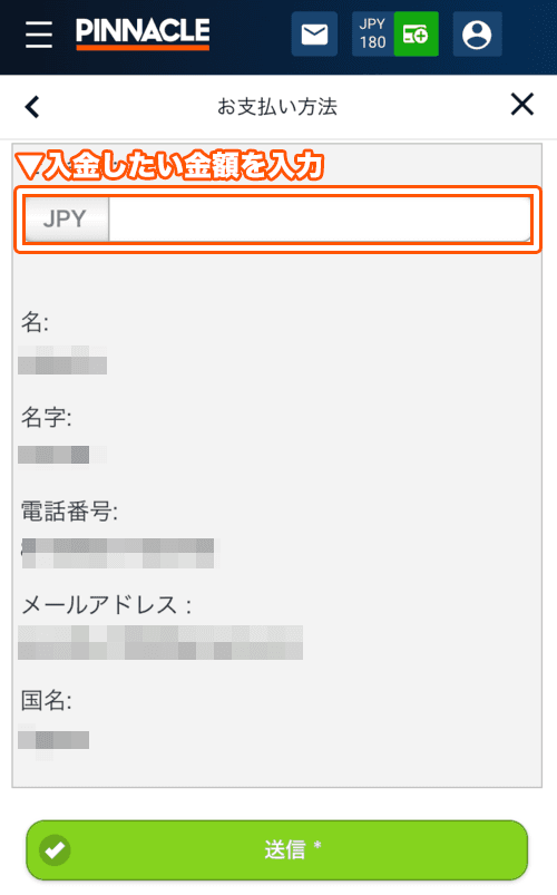 必要な情報と金額を入力