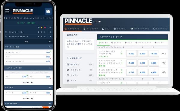 Pinnacle PC/Mobile画面