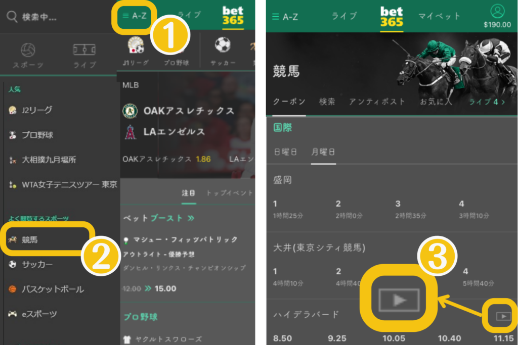 bet365 海外競馬の視聴方法・条件