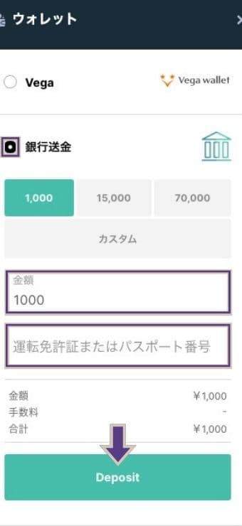 銀行送金で金額と身分証明書の番号を選択