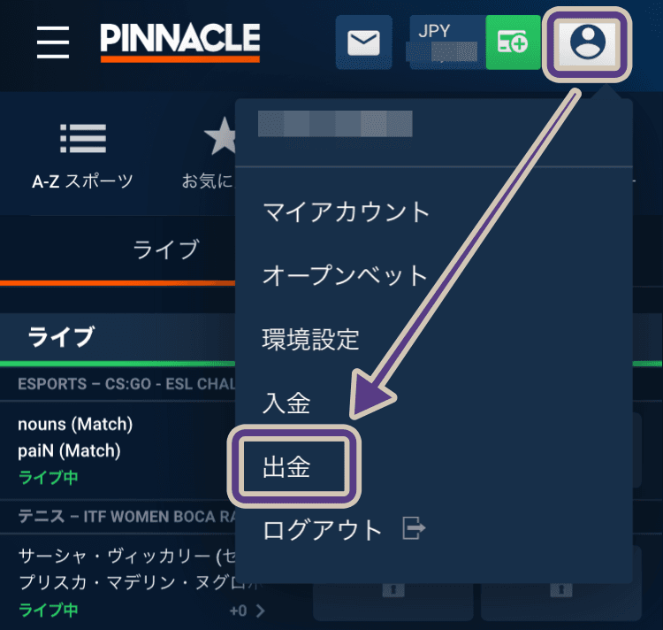 ピナクル銀行送金の出金方法