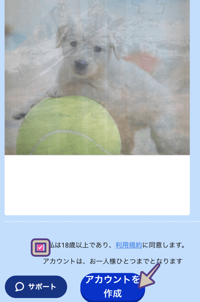 ビーベットの登録画面で利用規約を確認してチェックを入れアカウントを作成