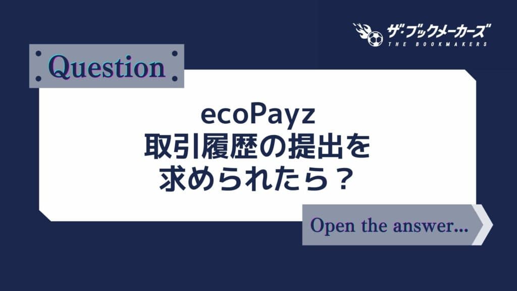 ecoPayz(エコペイズ)の取引明細を求められたら?