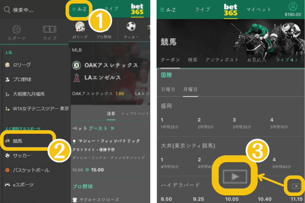 bet365 海外競馬の視聴方法・条件